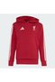 Liverpool FC Kids Hoodie
