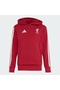 Liverpool FC Kids Hoodie - 2