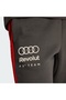 AUDI REVOLUT F1 TEAM DNA PANT - 3