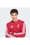 Liverpool FC DNA Sweatshirt - 3