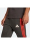 AUDI REVOLUT F1 TEAM DNA PANT - 4