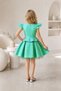 Girls' Evening Dress, Tulle, Ruffled Sleeves, Fluffy Skirt, Birthday, Special Occasion, Party Dress. - 3