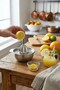 Italian Stainless Steel Citrus Juicer - 3
