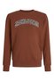 Jack&Jones Junior Boys' Sweatshirt 12258967