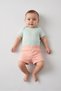 Toddlers Girl 3 Pieces Top And Bodysuits With Shorts Set, Multicolor