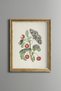 Cherries and Butterflies - Vintage Patterned Painting - Slim Model