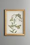 Floral Branch and Butterfly - Vintage Patterned Painting - Slim Model