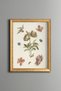 Flower and Fruit Branch - Vintage Patterned Painting - Slim Model