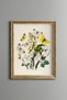 Butterflies and Flowers - Vintage Patterned Painting - Slim Frame