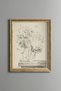 Wildflower Illustration - Vintage Patterned Painting - Fine Art Print