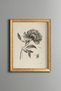 Layered Flower Painting - Vintage Patterned Canvas - Fine Model