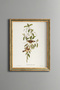 Floral Branch - Vintage Patterned Painting - Slim Model