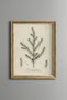Juniper Branch - Vintage Patterned Painting - Slim Model