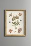 Flower and Fruit Branch - Vintage Patterned Painting - Slim Model