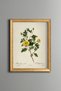 Yellow Flower Branches - Vintage Patterned Painting - Slim Model