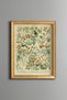 Botanical Flowers - Vintage Patterned Painting - Slim Frame