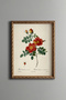Orange Wild Roses - Vintage Patterned Painting - Slim Frame