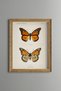 Two Orange Butterflies - Vintage Patterned Painting - Slim Model