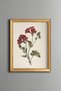 Carnation Bouquet - Vintage Patterned Painting - Slim Model