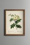 White Wildflowers - Vintage Patterned Painting - Slim Frame
