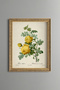 Yellow Rose Branch - Vintage Patterned Painting - Slim Model