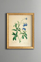 Forget-Me-Not Flower - Vintage Patterned Painting - Slim Model