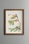 Floral Bird Branch - Vintage Patterned Painting - Slim Model