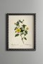 Yellow Flower Branches - Vintage Patterned Painting - Slim Model