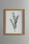 Eucalyptus Branch - Vintage Patterned Painting - Slim Model