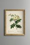 White Wildflowers - Vintage Patterned Painting - Slim Frame