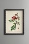 Red Wildflowers - Vintage Patterned Painting - Slim Frame