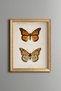 Two Orange Butterflies - Vintage Patterned Painting - Slim Model