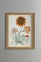Orange Wildflower - Vintage Patterned Painting - Slim Frame