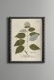 Ortanca Branch - Vintage Patterned Painting - Slim Model