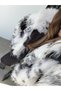 PATTERNED SHawl Collar FUR - 6