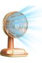 Table Fan Adjustable Angle 3 Speeds USB Rechargeable