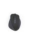 WM-500 Wireless Mouse, Ergonom., 6 Buttons, W/O Click Noise, Battery, Black