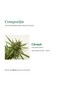 Hemp oil Hypericum, cold pressed, 100 ml - 2