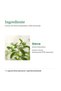 Indulcitor lichid Hypericum, extract de stevia, 250 ml - 2