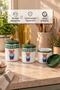 Harmony 3-Piece Enameled Spice Jar Set - 5