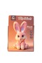 Interactive Magic Rabbit - 4