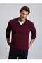 Burgundy Comfort Fit Sweater 50328518-VR014