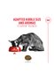 Fussy Cat Dry Cat Food 4kg - 2