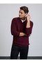 Burgundy Comfort Fit Sweater 50328518-VR014 - 3
