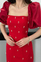 Women's Red Embroidered Paneled Dress with Stretch Fabric and Lining - 4