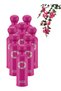 8 قطع فقط & عطر Signature Collection 200 مل