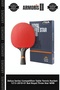 Delux Series Competition Hall Competition 1213-2818-01 Bat Royal Three Star Wrb Table Tennis Racket