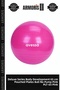 Delux Series Bodybuilding 65 cm Plate Ball Without Pump Pink Plt-65 Pink