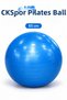 65 cm Pilates Ball, for Individuals with a Height Range of 165–180 cm + Pump. - 2