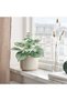 SMÅTÄRNA Artificial potted plant - paper/Brunnera 12 cm - 2